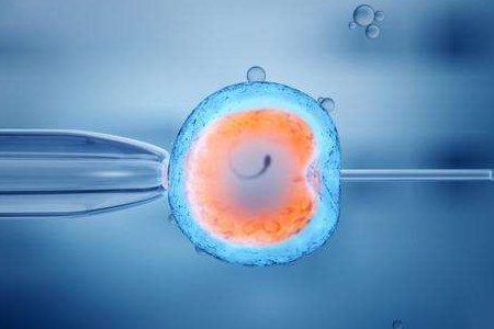 案例