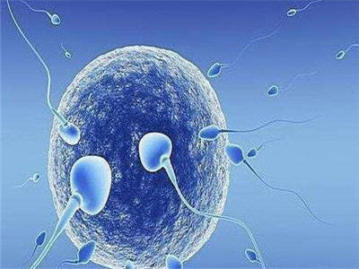 液氮存储
